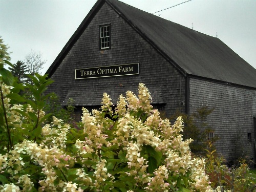 Tentrr - Terra Optima Farm image 3