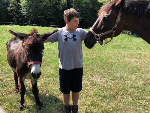 Tentrr - Terra Optima Farm image 5